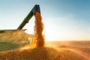 Crédito rural empresarial soma R$ 28,2 bilhões em julho