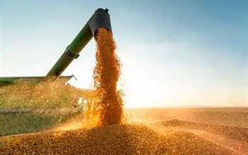 Crédito rural empresarial soma R$ 28,2 bilhões em julho