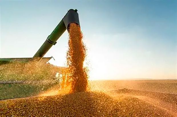 Crédito rural empresarial soma R$ 28,2 bilhões em julho