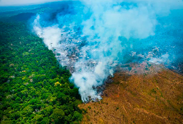 Desmatamento na Amazônia cai 36,87% no último ano