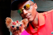 Influencer viraliza com "cachorra de madame": "roubei, mas me apeguei"