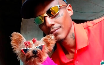 Influencer viraliza com "cachorra de madame": "roubei, mas me apeguei"