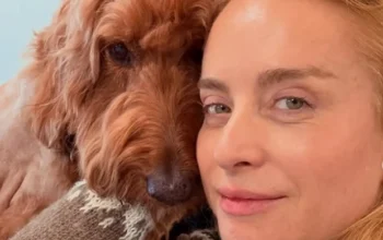 Angélica revela luta pela saúde de Gringa, cachorra da família: “Sem chão”