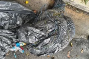 Garis encontram corpo em saco de lixo na zona sul de São Paulo.