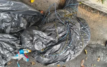 Garis encontram corpo em saco de lixo na zona sul de São Paulo.