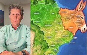 Prefeito bolsonarista Walter Schlatter se desculpa após chamar nordestinos de burros: “Errar é humano”